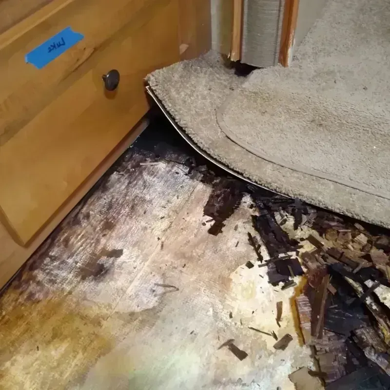 Wood Floor Water Damage in Versailles, OH